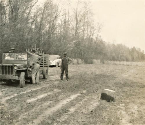 Another Still (pick. 3)
