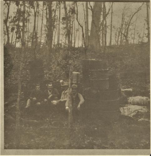 Still in Woods 6