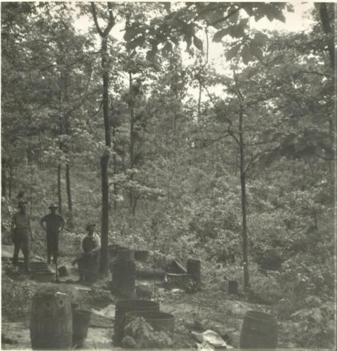Still Site 5.5