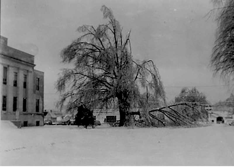 McNairy County, TN Courhouse at Selmer 1952